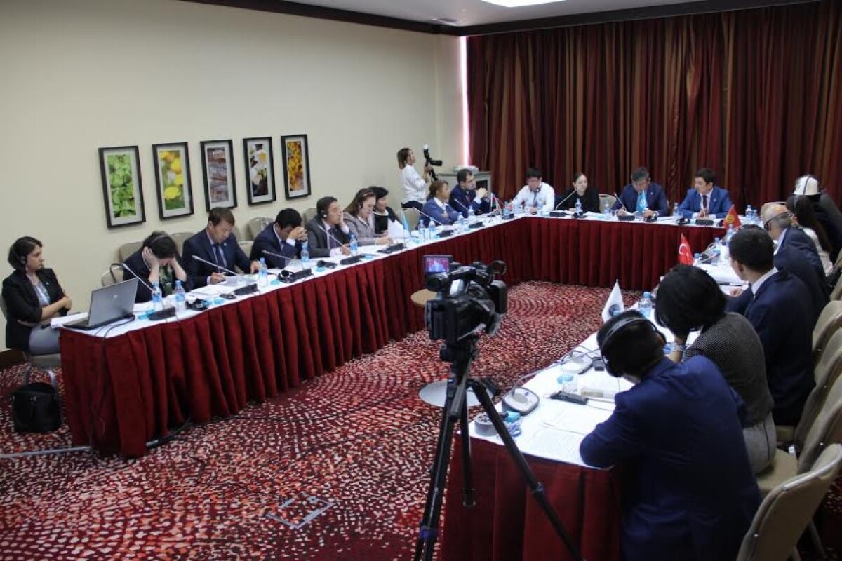 In Astana the meeting of the heads of the Ministries of Education of the Turkic Council is conducted - e-history.kz