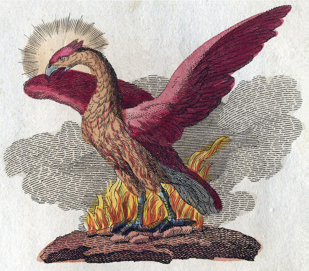 Phoenix-Fabelwesen.jpg